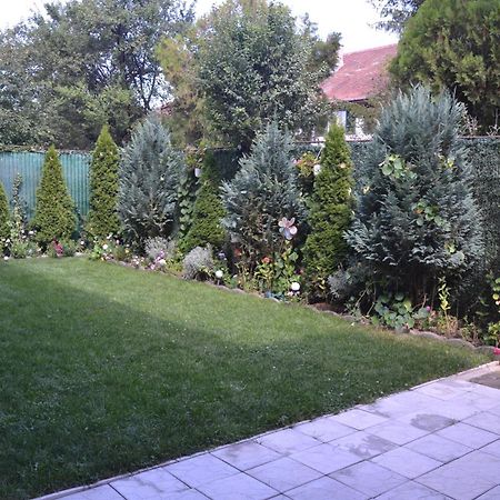 Gavri'S Relaxing Place Брашов Екстериор снимка
