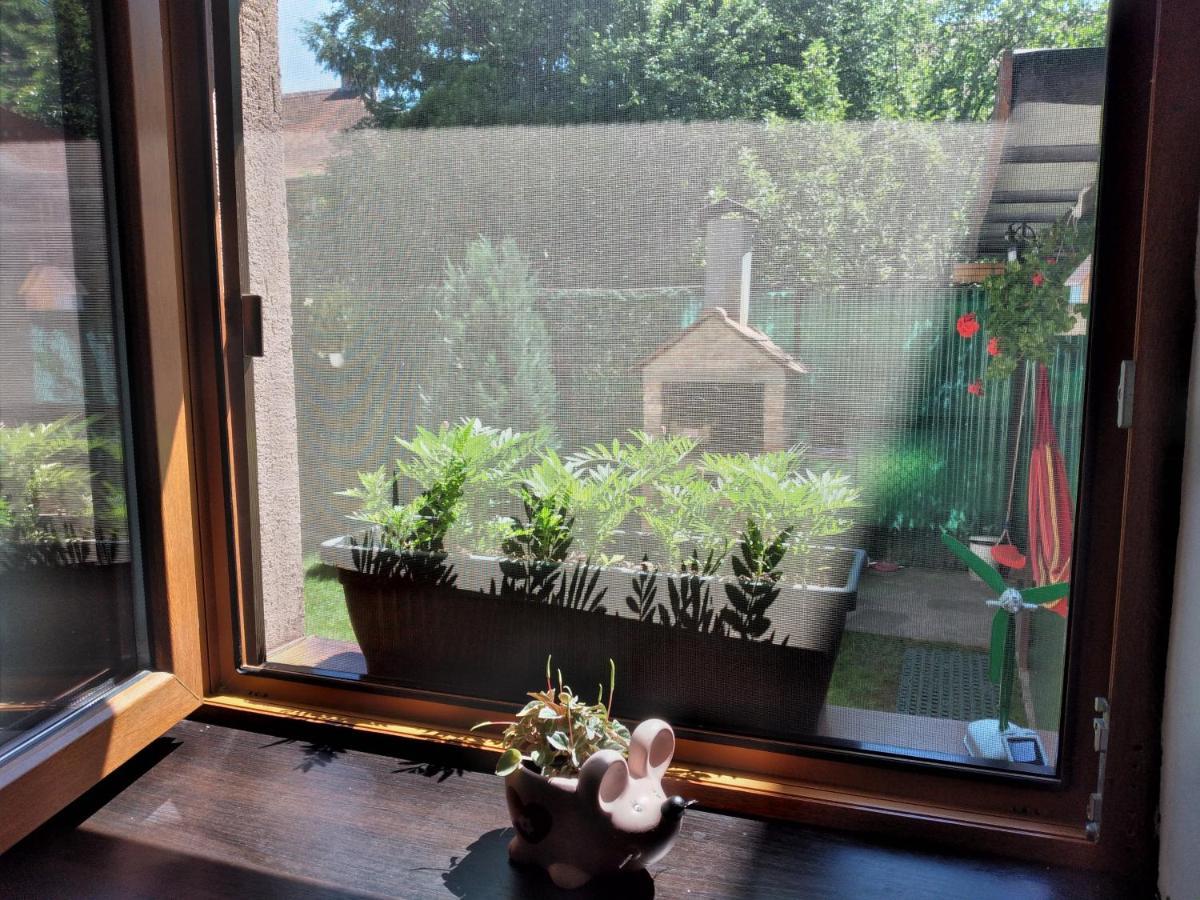 Gavri'S Relaxing Place Брашов Екстериор снимка